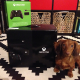 Illustration for article titled Look At These Dogs And Cats Confused By Xbox One